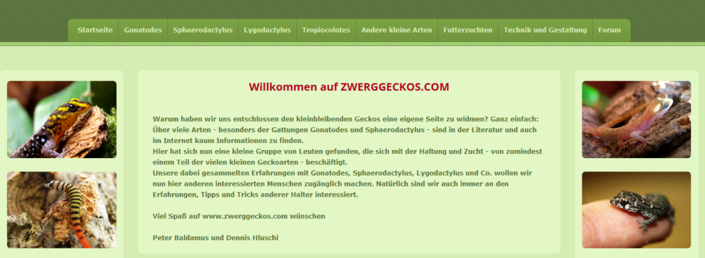 Zwerggeckos-Blog