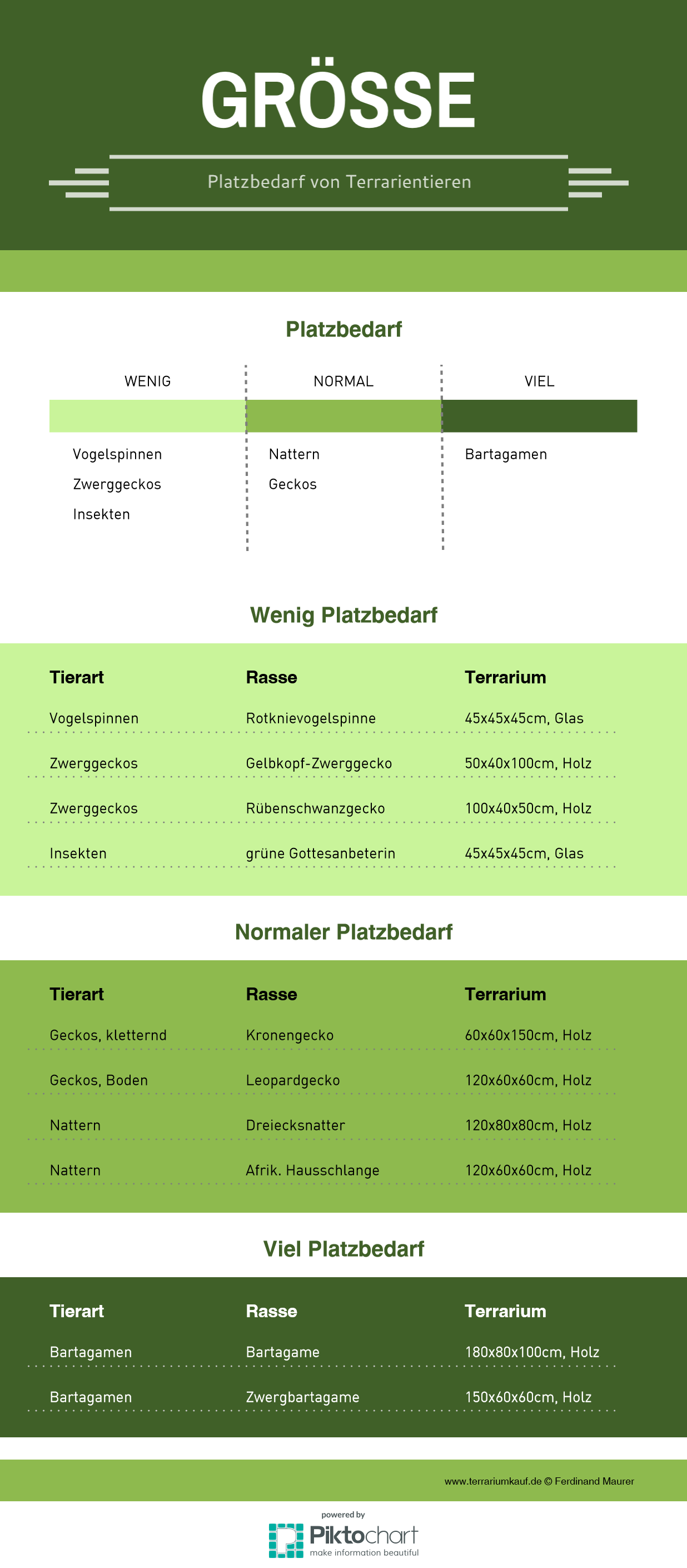 Infografik Terrariumkauf Größe